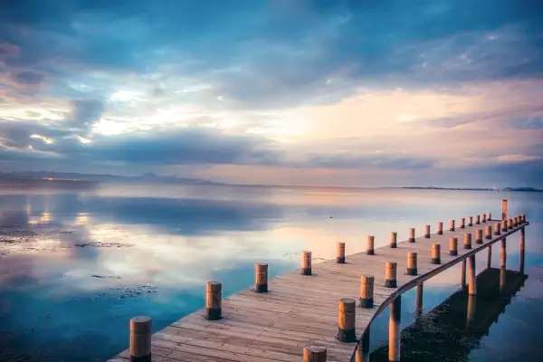 贵州大学徐晶简介照片