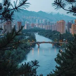 山东大学赵飞简介